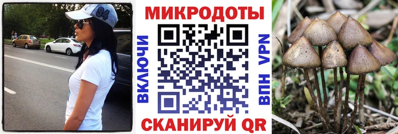 Псилоцибиновые грибы мицелий  дарнет шоп  Омутнинск 